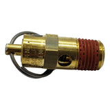Valvula Seguridad 167 Psi N375604 P/d2002m-wk Dwfp55126