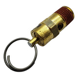 Valvula Seguridad 167 Psi N375604 P/d2002m-wk Dwfp55126