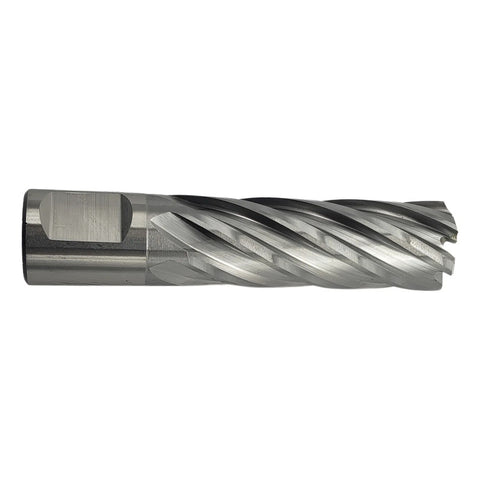 Cortador Anular Hss De 3/4 Por 2 Pulgadas Dewalt Dwac02012